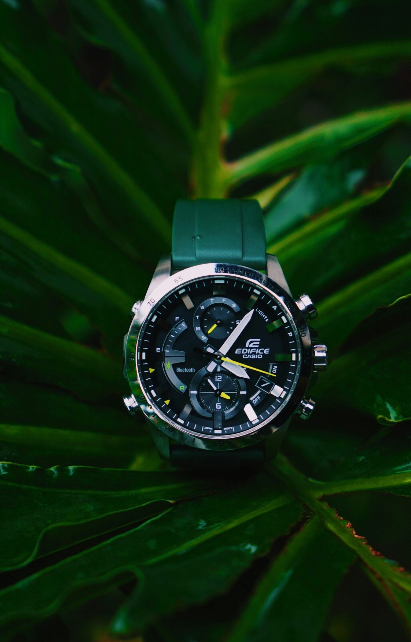 Reloj Edifice Casio con esfera negra y correa verde, rodeado de hojas verdes, destacando la naturaleza tropical de Gran Canaria.